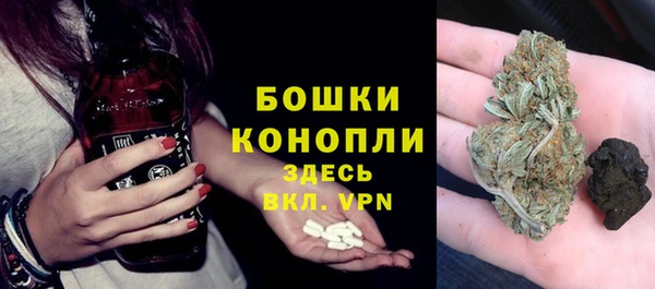 винт Богданович