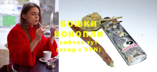 винт Богданович