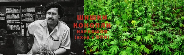 винт Богданович