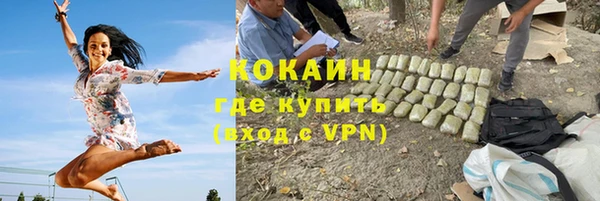 винт Богданович