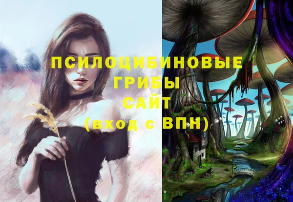 марки nbome Богородицк